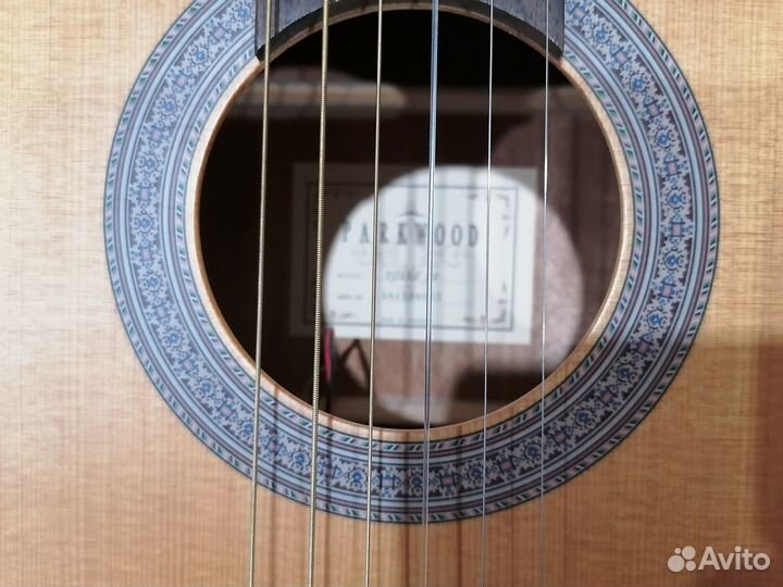 Гитара с комбоусилителем