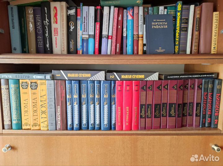 Русская и зарубежная литература (разные жанры)