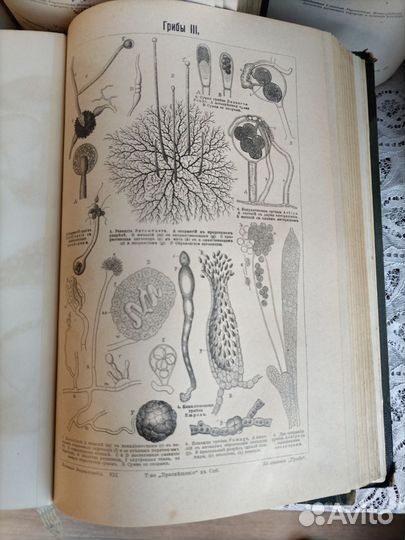 Книги Большая энциклопедия 1896 г