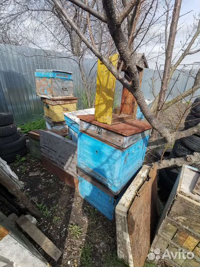 Рамки и ульи для пчел