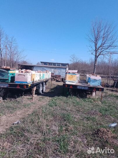 Продается пасека