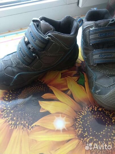 Ботинки деми geox