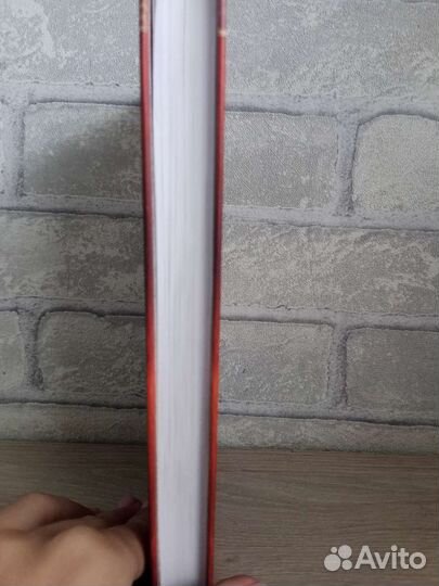 Книга хроники стаи путь изгнаницы Эрин Хантер