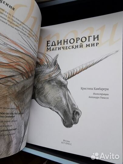 Книга и карты, единороги