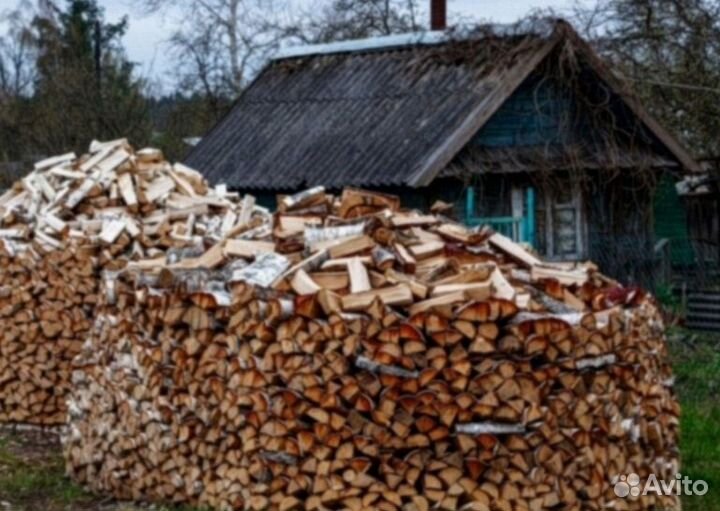 Дрова береза