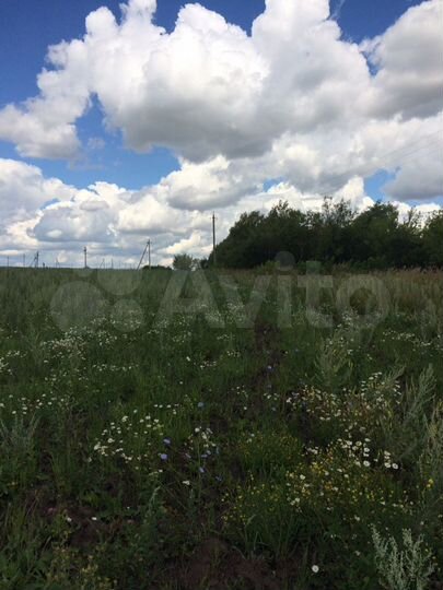 Участок 11,6 сот. (ИЖС)