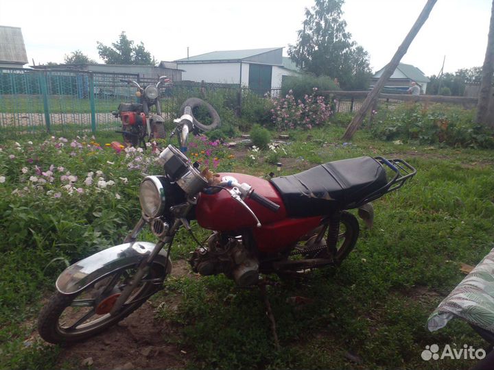 Продам альфу рейсер с торгом