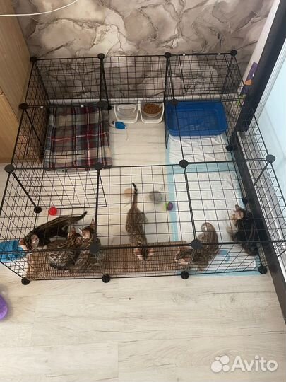 Вольер для животных