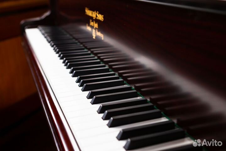 Рояль Steinway&Sons B-211