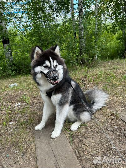 Кабель Помски для вязки