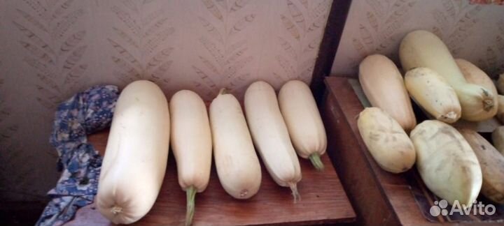 Картофель, кабачки обмен на молочные продукты