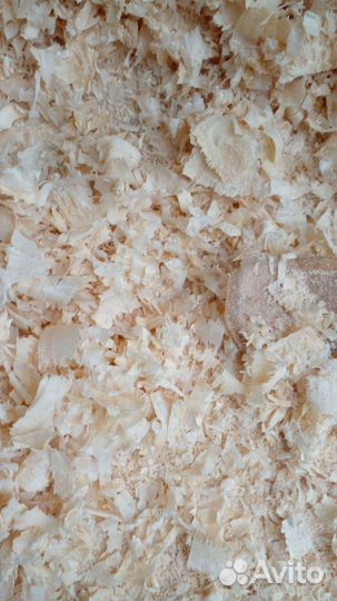 Древесная стружка опилки