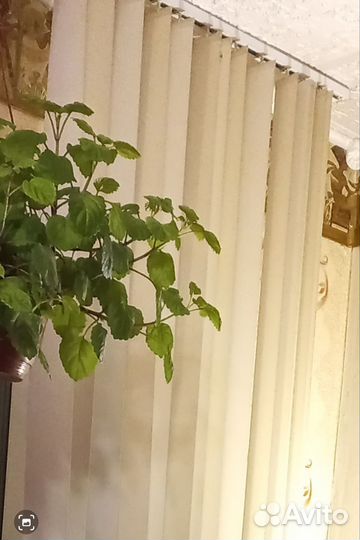 Жалюзи вертикальные бу