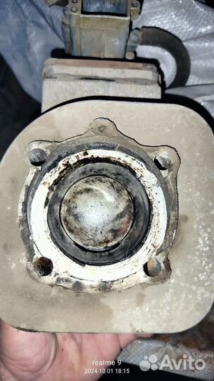 Группа муравей