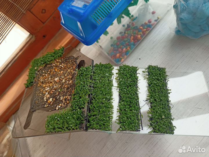 Для аквариума