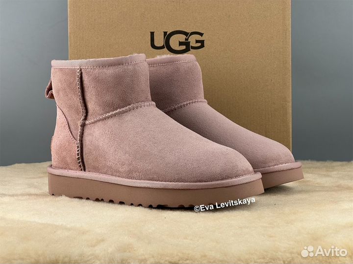 Угги женские Ugg Classic Mini II Dusk