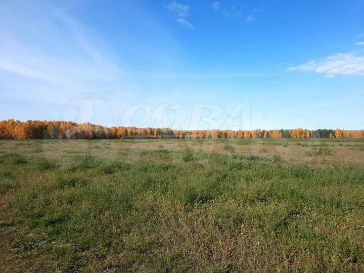 Участок 1,5 га (ИЖС)