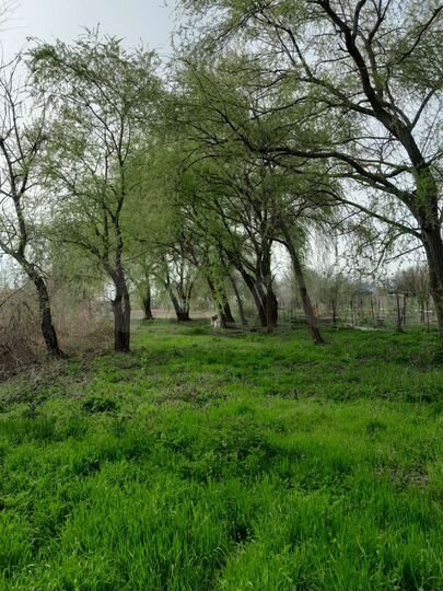 Участок 15 сот. (ИЖС)