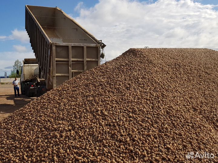 Керамзит россыпью с доставкой и на самовывоз