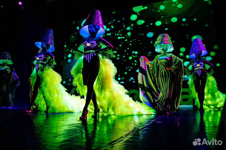 Световое танцевально-вокальное шоу на мероприятие