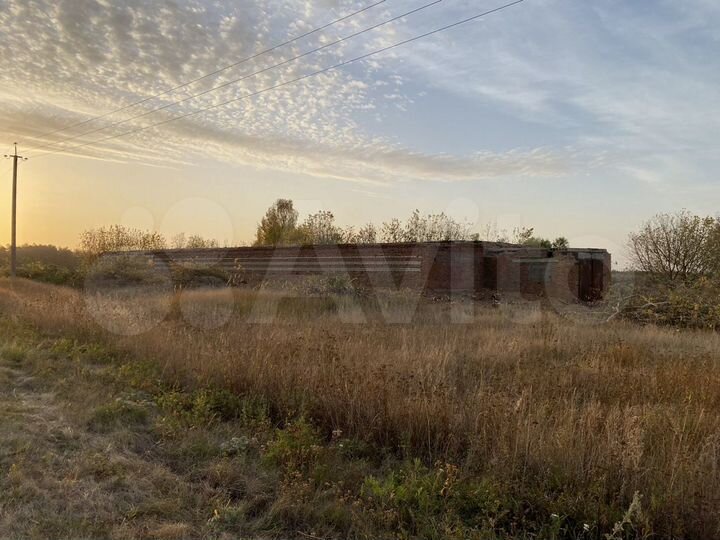 Здание, 1000 м²