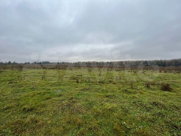 Участок 467 га (СНТ, ДНП)