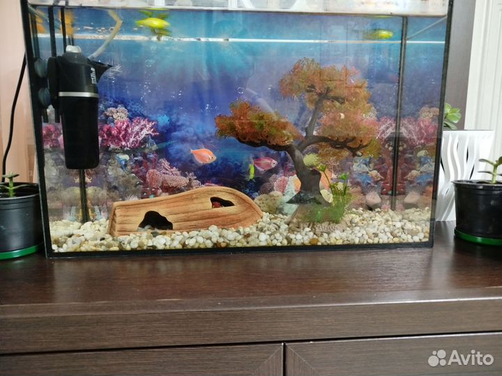 Аквариум