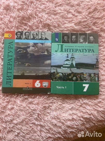 Литератера 6,7класс