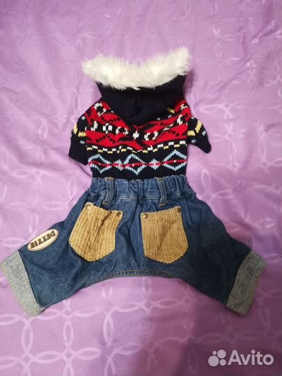 Одежда для маленьких собак