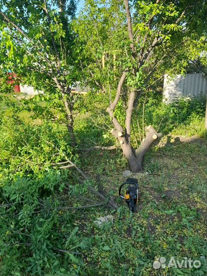 Заборы из профнастила под ключ