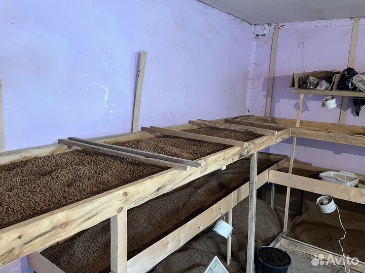 Корм для рыб