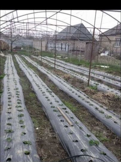 Дом 80 м² на участке 70 сот.