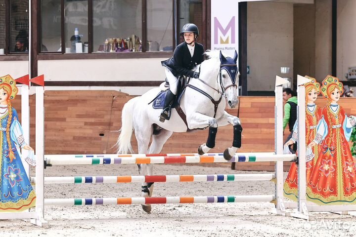 Аренда лошадей