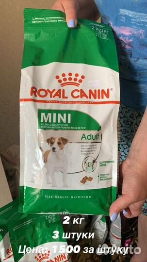 Royal canin mini