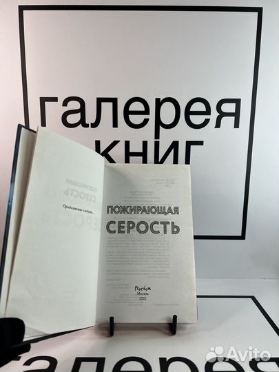 Пожирающая серость Кристина Линн Эрман