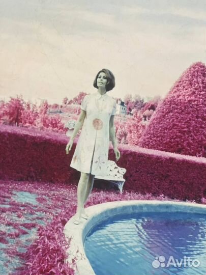 Фотокартина с Софи Лорен в раме