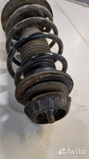 Амортизатор подвески Toyota Urban Cruiser, 2009