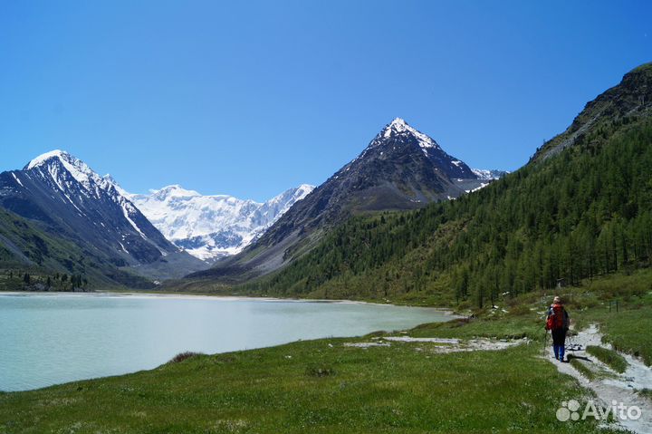 К Белухе с легкими рюкзаками. Алтай