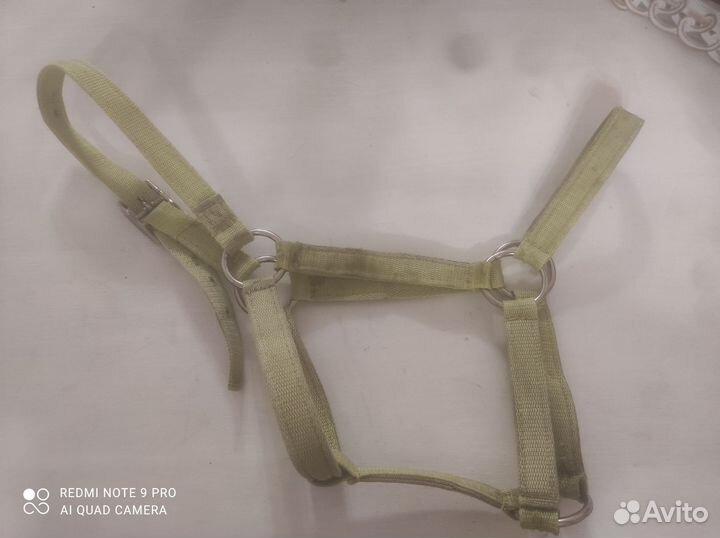 Недоуздок для лошади