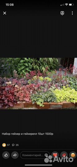 Набор гейхер 10шт