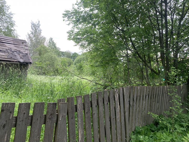 Дом 40,5 м² на участке 12,7 сот.