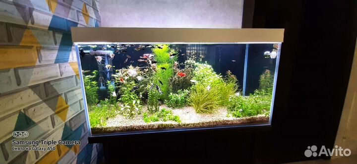 Продам аквариум