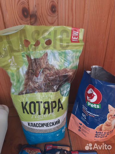 Корм и туалет для кота