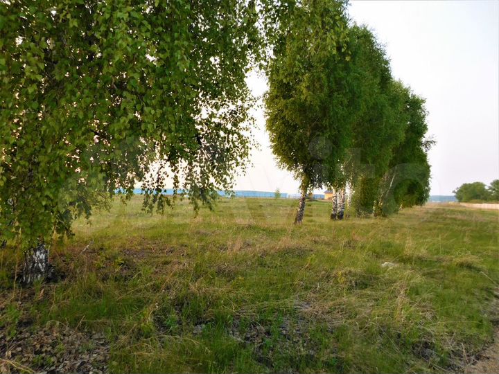Участок 10 сот. (ИЖС)