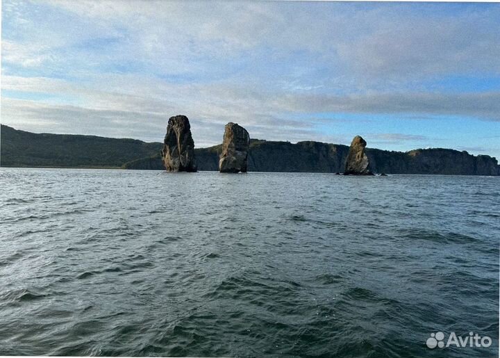 Камчатка летом тур путевка программы 7-9 дней