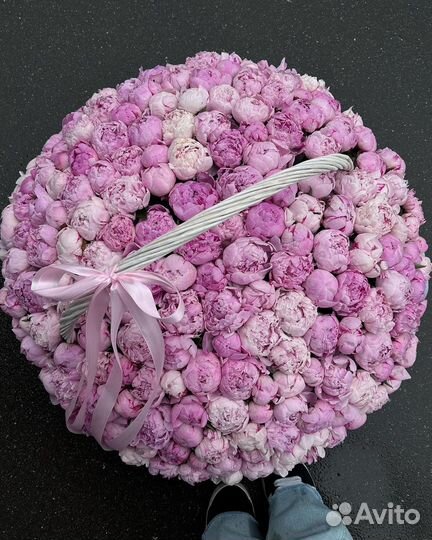 Пионы. Букет пионов. Цветы доставка