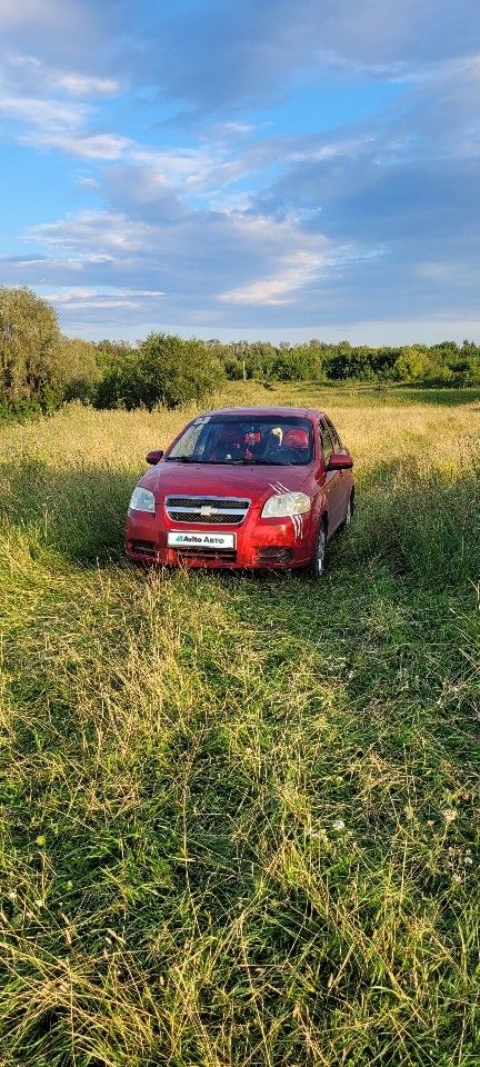Chevrolet Aveo: фото владельца