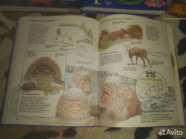 Энциклопедии и детские книги стихи