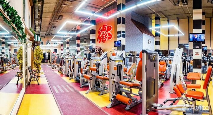 Карта Зебра Бутово