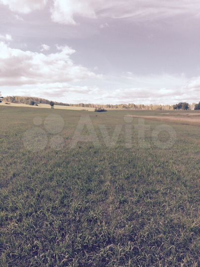 Участок 5,69 га (СНТ, ДНП)